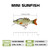 TRUSCEND Fishing Lures for Freshwater and Saltwater, Lifelike Swimbait for Bass Trout Crappie, Top Water Fishing Lure