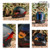 Matte Black Red Medium | HAX Force Aerodynamic Full Face Helmet for Street & E-Bikes