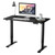 COSWAY Electric Adjustable Standing Desk Stand up Workstation w/Control Black 