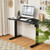 COSWAY Electric Adjustable Standing Desk Stand up Workstation w/Control Black 