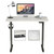 COSWAY Electric Standing Desk Sit to Stand Height Adjustable Dual Motor 