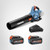 SENIX Leaf Blower Cordless, 40V Max Electric Leaf Blowers, Brushless, Handheld, Up to 700 CFM and 145 MPH, 2 Speed Mode, Cruise Control, Includes 2 x 4.0Ah Battery and Charger (BLAX2-M2)