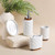 Ceramic and Wood Bathroom Accessory Set Soap Dispenser Toothbrush Holder Tumbler Soap Dish