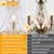 5 Light French Country Gold Crystals Chandelier for Ceiling Medallions,Wedding,Dining,Kitchen, Foyer,Dia 20'' Golden