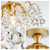 WUZUPS Crystal Chandelier Flushmount Ceiling Light Modern Lighting Fixture for Bedroom Hallway Bar Kitchen Bathroom
