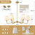 Brass Gold Chandeliers for Dining Room, 36" 6 Light Antique Modern Chandelier