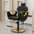 Barber Salon Chair for Hair Stylist, Height Adjustable Hydraulic