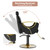 Barber Salon Chair for Hair Stylist, Height Adjustable Hydraulic