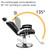 Barber Shop, Styling Salon Chair with Headrest and Footrest, 360 Degree Swivel,