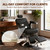 Barber Chair for Barbershop, Reclining Heavy-Duty Hydraulic All-Purpose
