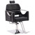Barber Chair Heavy Duty Hair Spa Salon Styling Beauty Equipment 3126 (Black)