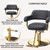 Barber Chairs for Barbershop Black and Gold Styling Chair, Salon Chair