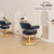 Barber Chairs for Barbershop Black and Gold Styling Chair, Salon Chair