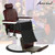 Barber Booster Seat for Kids, Children Salon Chair Cushion, 6.5" Thick Toddler