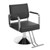 Barber Chair Salon Chair for Hair Stylist Hair Chair for Barbershop Home Height Adjustable & 360°