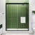 Shower Door Double Sliding 56-60 in. W, 72 in. H Frameds Bathroom Sliding Door