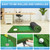 3.3x10 Ft Large Golf Putting Mat Professional Artificial Grass Turf Practice Mat with Sand Pit for Home, Office