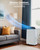 Portable Air Conditioners, 14000 BTUs Portable AC Unit 3 in-1 Cooling, Dehumidifier & Fan, Standing A/C Portable Air Conditioner for Room Up to 750 Sq. Ft, 24H Timer, Window Kits, Black&White Cover