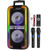 Dolphin Dual 10" Bluetooth Party Speaker - 1000W Big Speaker with 2 Wireless Microphones, Powerful Bass, Multicolor LED Lights, Tailgate Ready, Portable with Wheels & Handle, Long-Lasting Battery