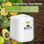 Electric Composter for Kitchen, Large Smart Compost Bin with 2 Carbon Filters