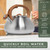 WALDWERK Tea Kettle Stovetop (2.4 Quart) - Teapot for Stovetop