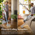 Bissell PowerClean 200W Self-Standing Cordless Vacuum w/Tangle Free Brush Roll, Removeable Battery