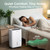 Waykar 80 Pints 2025 Energy Star Dehumidifier for Spaces up to 5,000 Sq. Ft for Basement and Home, Large Room