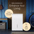 hOmeLabs Dehumidifier for Home, Office, Basements with Powerful Moisture Removal, Humidity Control, Auto Shut-off