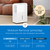 hOmeLabs Dehumidifier for Home, Office, Basements with Powerful Moisture Removal, Humidity Control, Auto Shut-off