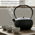 Teapot for Stovetop Safe, Black Japanese Tetsubin Tea Kettle with Stainless Steel