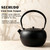 Teapot for Stovetop Safe, Black Japanese Tetsubin Tea Kettle with Stainless Steel
