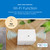 hOmeLabs Dehumidifier for Home, Office, Basements with Powerful Moisture Removal, Humidity Control, Auto Shut-off