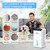 Dehumidifier for Home (85 OZ, 800 sq.ft) Quiet Small Dehumidifier for Bedroom Bathroom Basement with Drain Hose