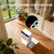 Dehumidifiers for Home, 2000 Sq.Ft Small Dehumidifier with 3.3ft Drain Hose, 2.5L Tank, Timer Sleep Mode