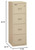 FireKing Turtle Vertical 4 Drawer Legal and Letter Fire Safe File Cabinet with Key Lock, 1 Hour Fire Rated, UL Rated & Water Resistant Home Safe, Filing Cabinet, Made in The USA, Parchment