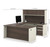 Bestar Prestige + 72W U-Shaped Executive Desk with 2 Pedestals and Hutch in White Chocolate & Antigua