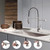 Sink Faucet, Pull-Down Water Filtration Faucet, Bar