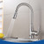 Faucet with Pull Down Sprayer, Low Single Handle