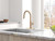 Faucet with Pull Down Sprayer Single Handle