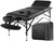 Professional Massage Table Portable 3 Folding Lightweight Facial