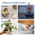 LEVOIT OasisMist 1000S (10L) Smart Humidifier for Home Large Room Bedroom, Last 100 Hours Suitable for Indoor Plant