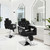 alon Chair for Hair Stylist, PU Leather Barber Chair with High-Density