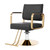 Salon Chair, Adjustable Beauty Spa Hair Styling Salon Chair 360°