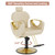 Barber Chair, Salon Chair for Hair Stylist, Height Adjustable Hydraulic Hair