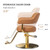 Chairs for Barbershop Brown and Gold Styling Chair, Salon Chair