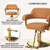Chairs for Barbershop Brown and Gold Styling Chair, Salon Chair