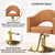 Chairs for Barbershop Gold Brown Styling Chair, Salon Chair