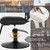 Salon Chair for Hair Stylist with Black Base, Hydraulic Styling Chair