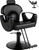 Salon Chair, Reclining Salon Chair for Hair Stylist, Barber Chair with Heavy Duty