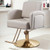Salon Barber Chair for Hair Stylist Professional Styling Chair with Hydraulic Pump
